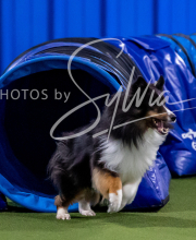 2025-10-12-BANDA-SUN-820