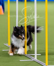 2025-10-12-BANDA-SUN-822