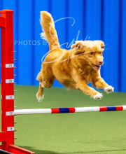 2025-10-12-BANDA-SUN-83