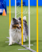 2025-10-12-BANDA-SUN-845