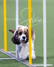 2025-10-12-BANDA-SUN-859