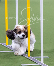 2025-10-12-BANDA-SUN-860