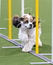 2025-10-12-BANDA-SUN-865