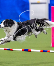 2025-10-12-BANDA-SUN-87