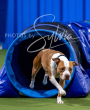 2025-10-12-BANDA-SUN-874