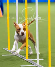 2025-10-12-BANDA-SUN-878