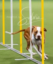 2025-10-12-BANDA-SUN-881