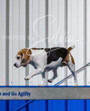 2025-10-12-BANDA-SUN-887