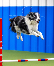 2025-10-12-BANDA-SUN-90