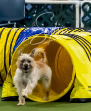 2025-10-12-BANDA-SUN-905