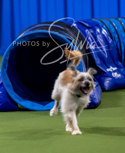 2025-10-12-BANDA-SUN-910