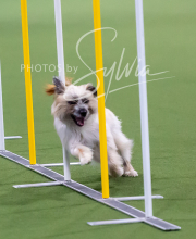 2025-10-12-BANDA-SUN-915