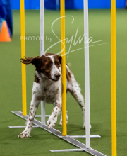 2025-10-12-BANDA-SUN-923