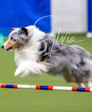 2025-10-12-BANDA-SUN-94