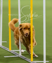 2025-10-12-BANDA-SUN-941