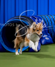 2025-10-12-BANDA-SUN-951