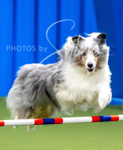 2025-10-12-BANDA-SUN-96