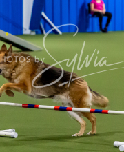 2025-10-12-BANDA-SUN-962