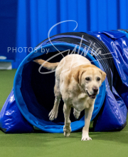 2025-10-12-BANDA-SUN-981