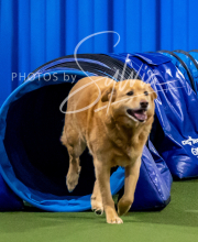 2025-10-12-BANDA-SUN-994