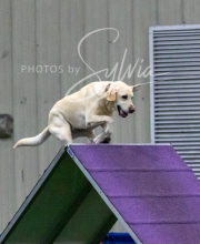 TOLEDO-SAT-5-17-127