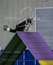 TOLEDO-SAT-5-17-134