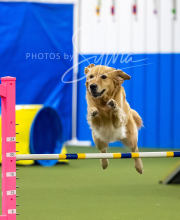 2025-6-29-BANDA-1001