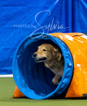 2025-6-29-BANDA-1006