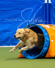 2025-6-29-BANDA-1007