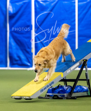 2025-6-29-BANDA-1010