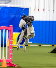 2025-6-29-BANDA-1016