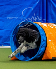 2025-6-29-BANDA-1022