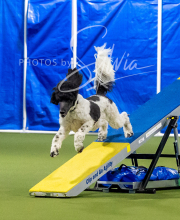 2025-6-29-BANDA-1027