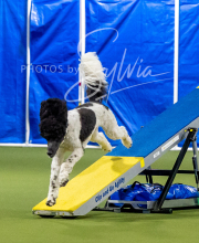 2025-6-29-BANDA-1028