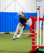 2025-6-29-BANDA-1030