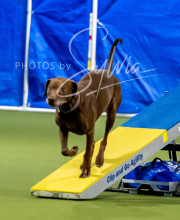 2025-6-29-BANDA-1038