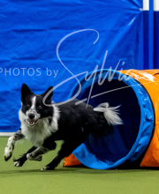 2025-6-29-BANDA-1041