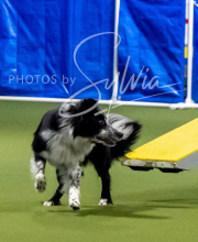 2025-6-29-BANDA-1045