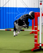 2025-6-29-BANDA-1046