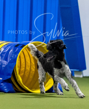 2025-6-29-BANDA-1052