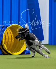 2025-6-29-BANDA-1054