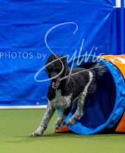 2025-6-29-BANDA-1057