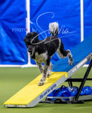 2025-6-29-BANDA-1060