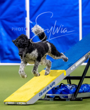 2025-6-29-BANDA-1061