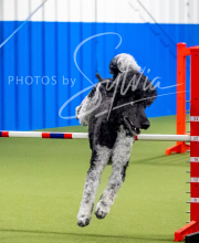 2025-6-29-BANDA-1063