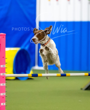 2025-6-29-BANDA-1067