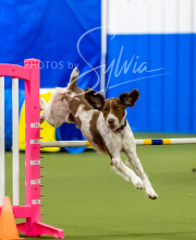 2025-6-29-BANDA-1070