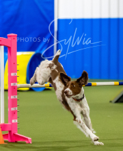 2025-6-29-BANDA-1071