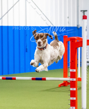 2025-6-29-BANDA-1075