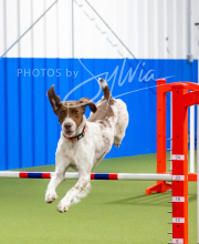 2025-6-29-BANDA-1076